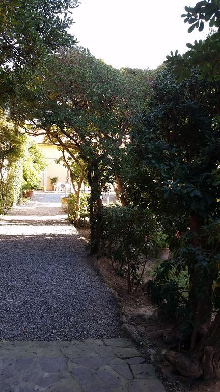 Villa Salvini Marina Di Pisa Eksteriør billede